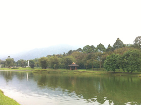 Beautiful serene lake gardenの素材