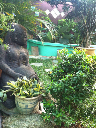 A relaxing atmosphere in the house gardenの素材