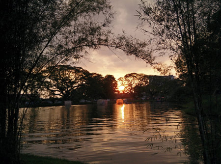 lovely sunset view in the lake gardenの写真素材