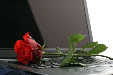 beautiful red rose on black notebookの写真素材