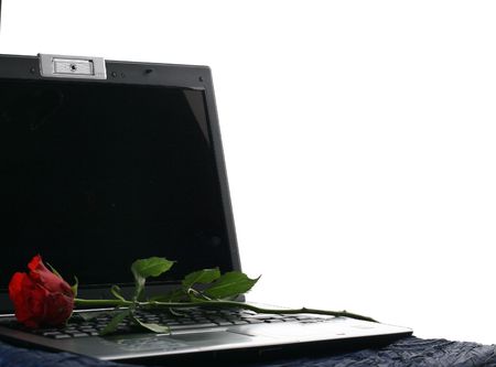 beautiful red rose on black notebookの写真素材