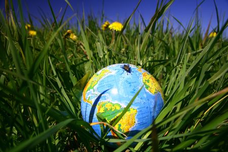 globe of planet earth in green grass 