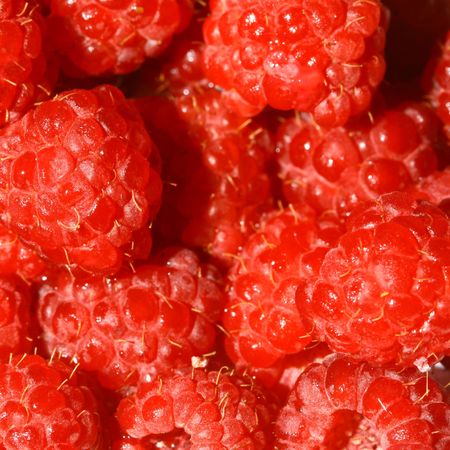 red wild raspberry macro close up の写真素材