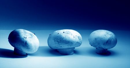 champignon close up food bacgroundの写真素材