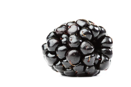 blackberry  isolated on white background