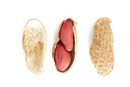 peanut isolate on white close up