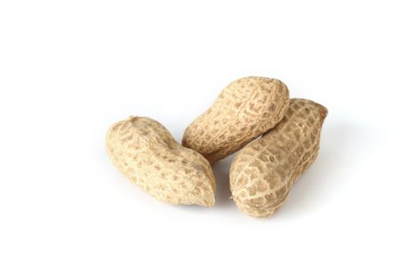 peanut isolate on white close up