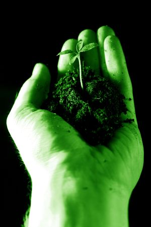hand plant new life care conceptの写真素材