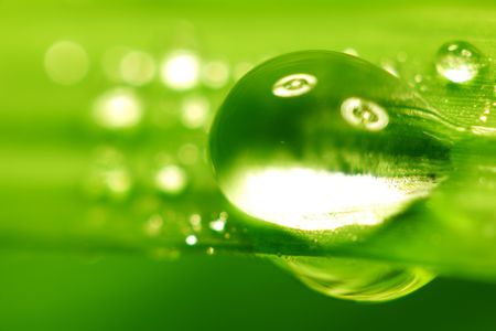 drop on grass macro close の写真素材