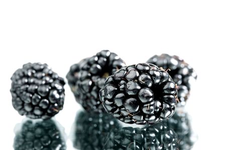 blackberry  isolated on white backgroundの写真素材