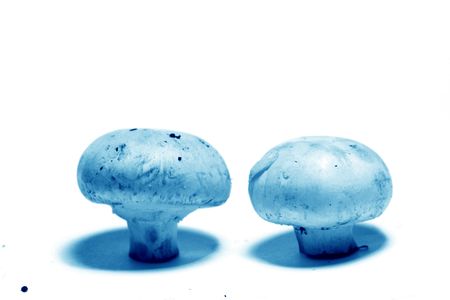 champignon close up food bacgroundの写真素材