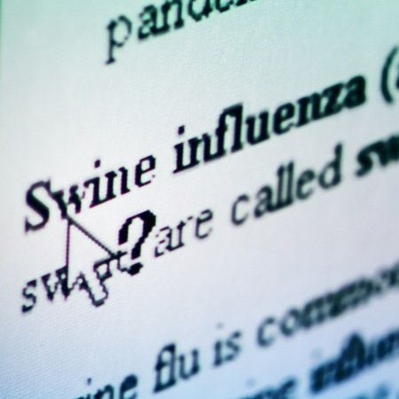 Swine flu info about itの写真素材