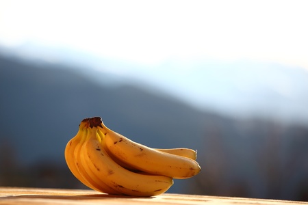 fresh bananas in sunrise lightの写真素材