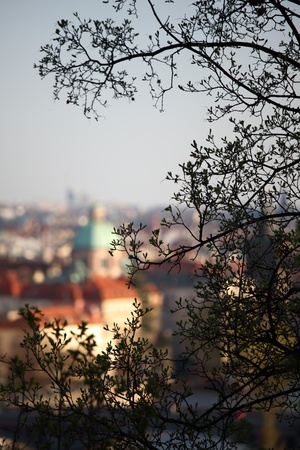 prague city panoramic viewの写真素材