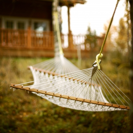 hammock in forest close upの写真素材