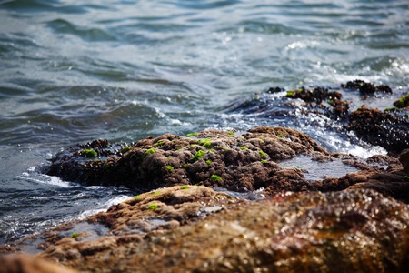 sea and rockの写真素材