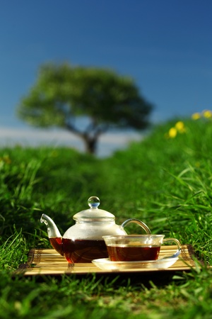 Natural tea in the potの写真素材