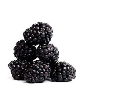blackberry pile isolated on whiteの写真素材