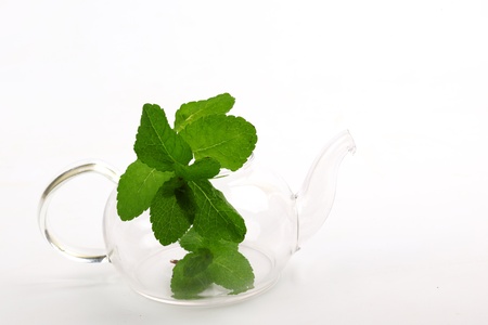 mint tea on white close upの写真素材