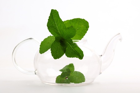 mint tea on white close upの写真素材