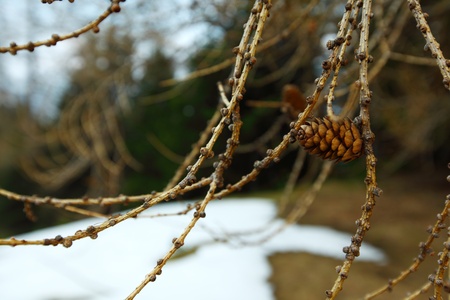 spring alps mountains scene backgroundの写真素材