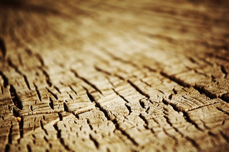 wood background macro close upの写真素材