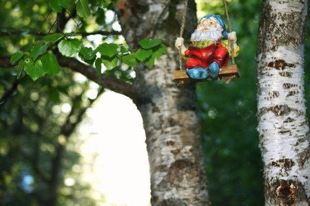 garden dwarf on green nature backgroundの写真素材