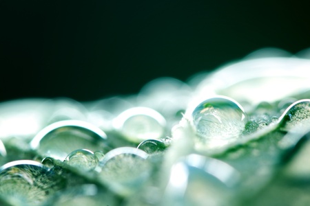 water drop macro close up