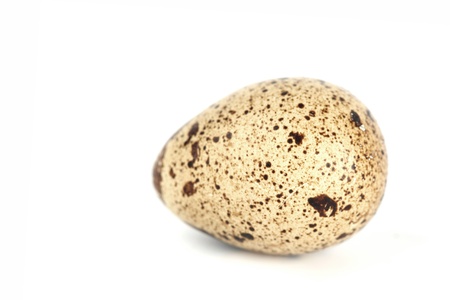 quail egg background isolated macro close upの写真素材