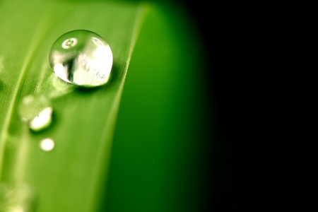 big water drop on grass bladeの写真素材