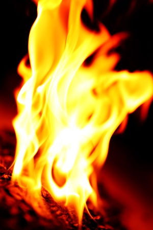 fire flame close up on black background