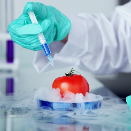 tomato DNA change microbiology experiment の写真素材