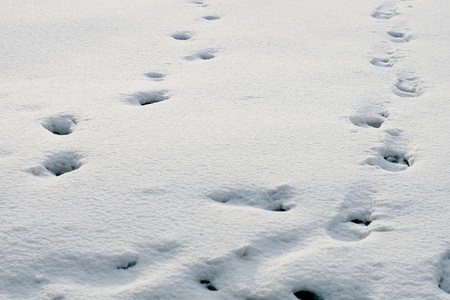 footprints abstract background blur and sharpの写真素材