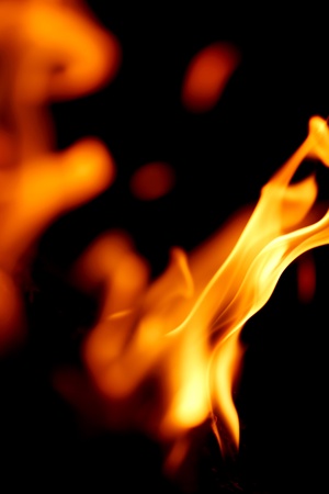 fire flame close up on black background