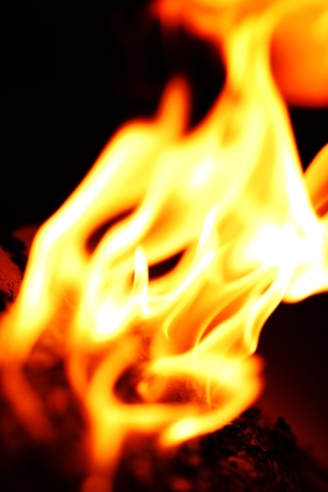 fire flame close up on black backgroundの写真素材