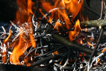  charcoals fire macro close upの写真素材