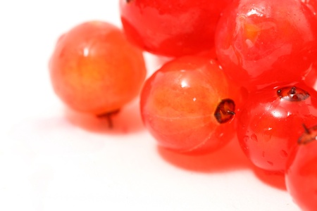 red currant isolated on white background