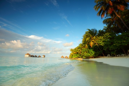 maldives landscape ocean palm skyの写真素材