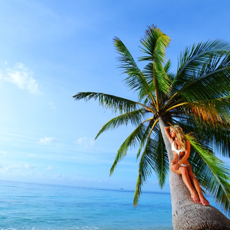 woman on palm sea on backgroudの写真素材