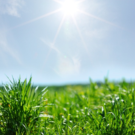  landscape backgroundの写真素材