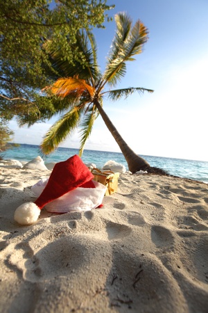 santa hat on sand under palmの写真素材