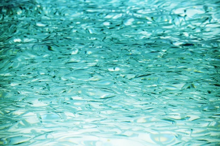 many small fish in the clear water of the oceanの写真素材