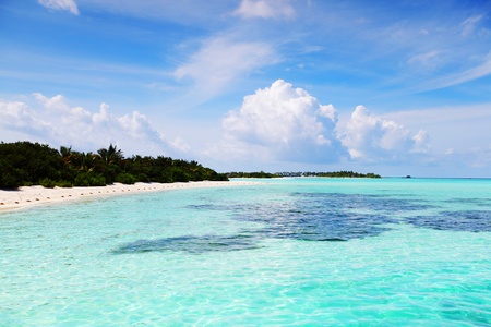 tropical island in blue seaの写真素材