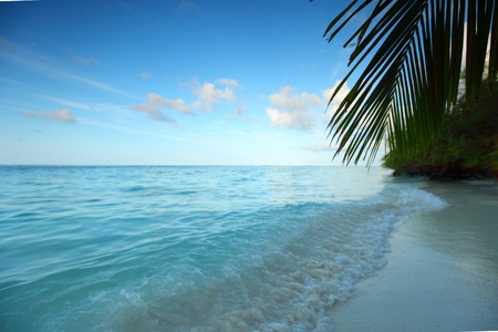 tropical island palm sea and skyの写真素材