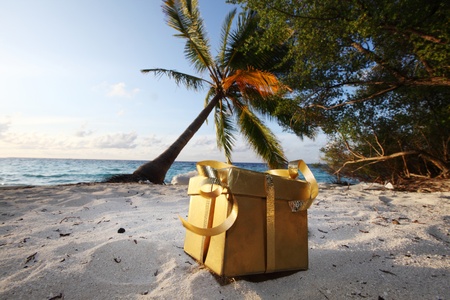 golden gift on ocean beach under palmの写真素材