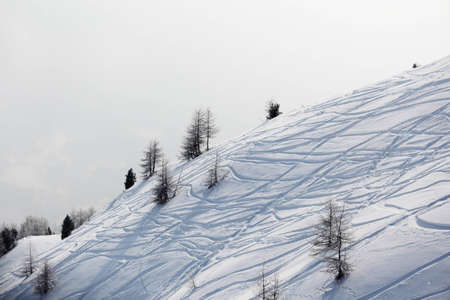 ski traces on snowの写真素材