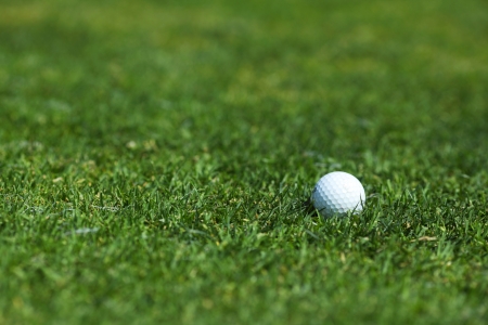 golf-ball on courseの写真素材