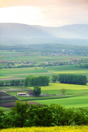 Green meadow under sunset sky with cloudsの写真素材