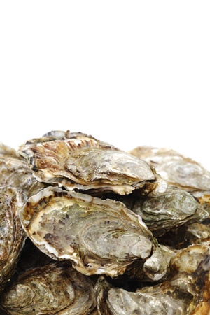 Oysters isolated on white backgroundの写真素材