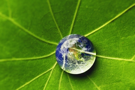 The world in a drop of water on a leaf  Elements of this image furnished by NASA
